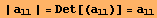 | a_11 | = Det[(a_11)] = a_11