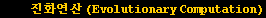 &nbsp;&nbsp;&nbsp;&nbsp;진화연산 (Evolutionary Computation)
